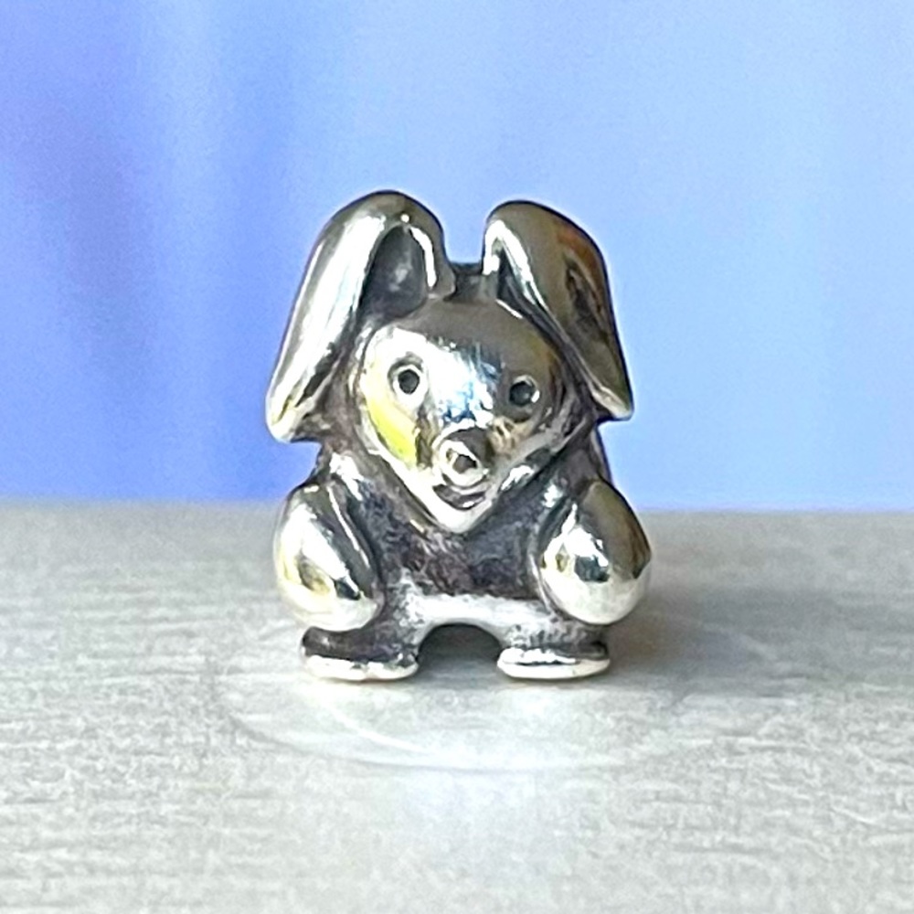 Pandora Charm